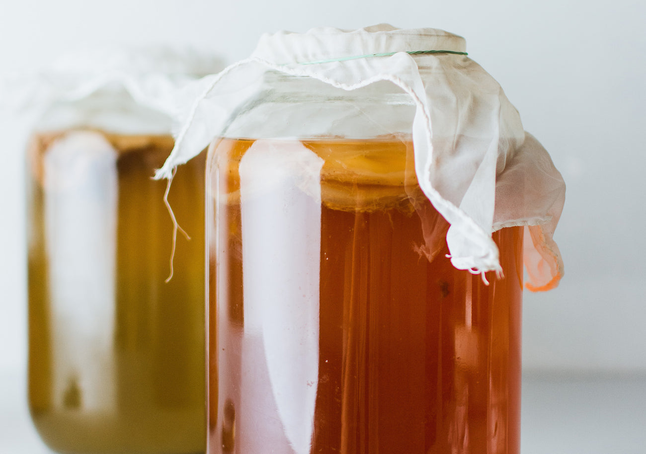 Cách làm trà kombucha tại nhà